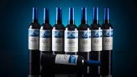 Ocean Multiplying Wine Bottles by Tora Magic