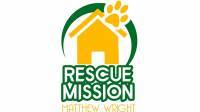 RESCUE MISSION by Matthew Wright